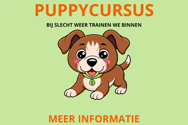 Puppytraining bij hondenschool HondVeiligNederland