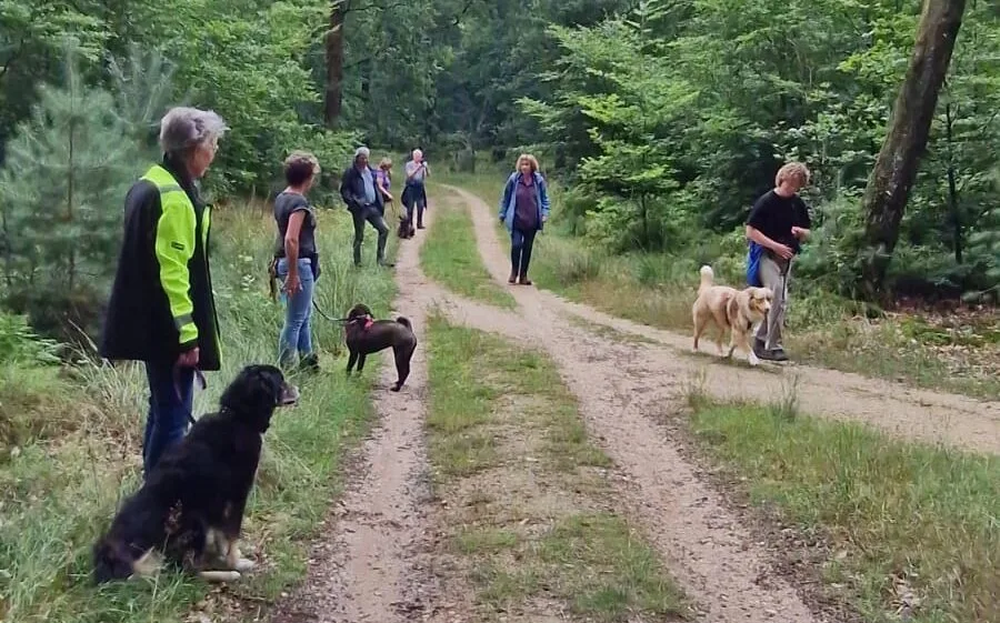Parallelwandeling